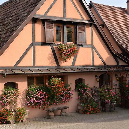 Rorschwihr Gite Cote Jardin Fahrer Ackermann 아파트 외부 사진