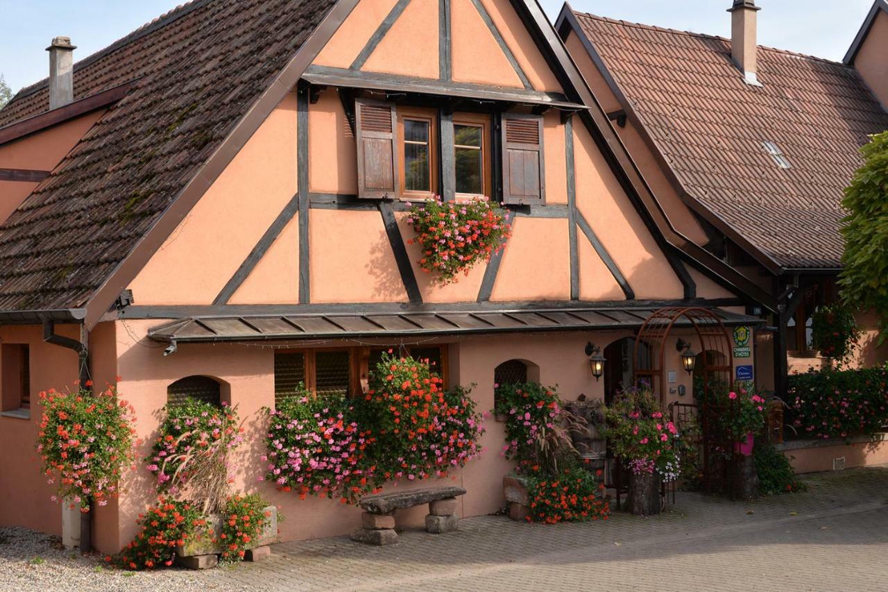 Rorschwihr Gite Cote Jardin Fahrer Ackermann 아파트 외부 사진